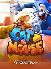 Cat Mouse
