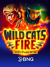Wild Cats Fire Hold and Win