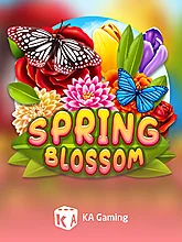 Spring Blossom