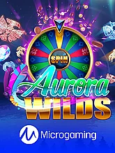 Aurora Wilds