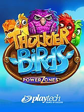 Power Zones Thunder Birds